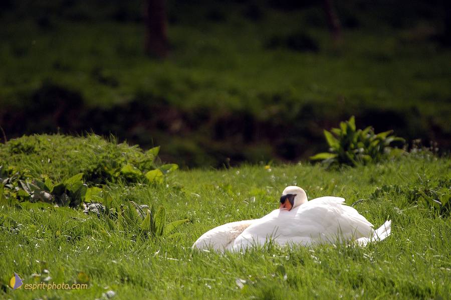 Nom de l'image : D1120332-01_(c)Norbert-JUNG — Description :  PËlerinage de Chartres 2004